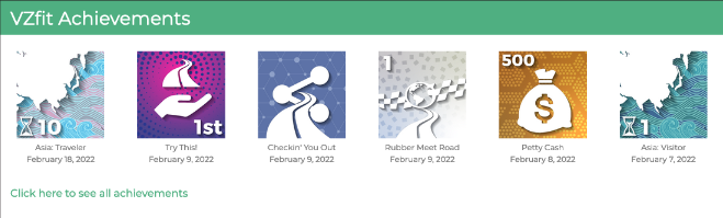 VFZ20220218達成状況