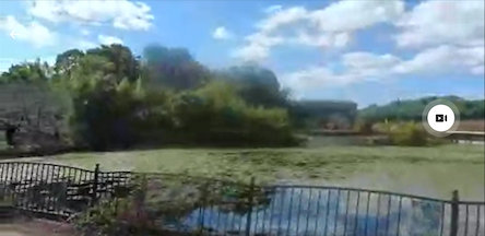 しまなみ海道20220209向島4