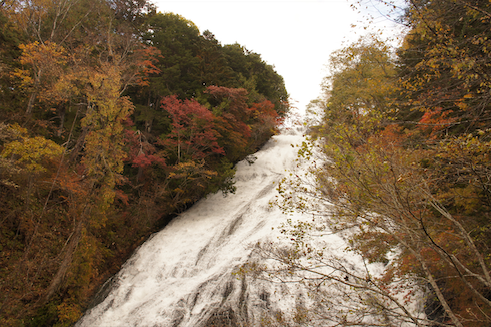 弱虫ペダルIH2年初日20220225-4.5