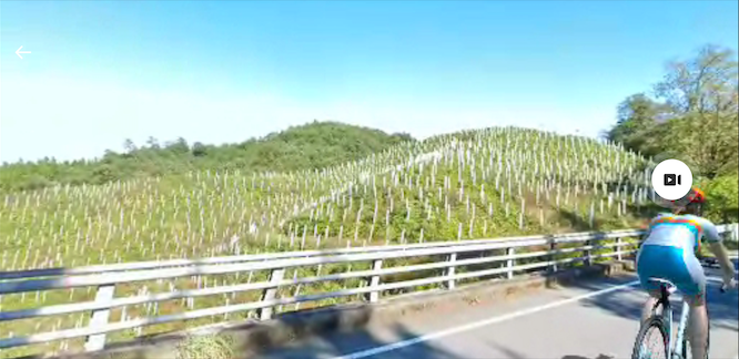 弱虫ペダルIH2年三日目20220303-4